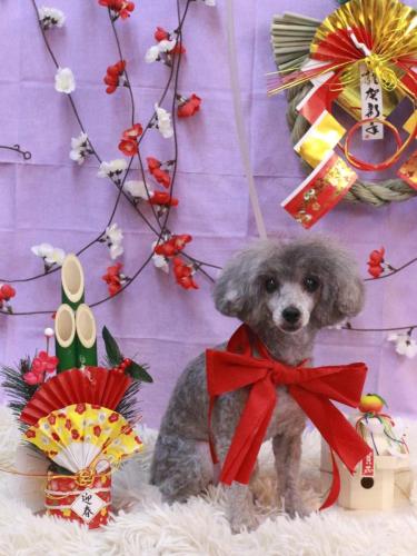 20230124るあてぃちゃん